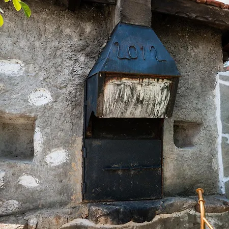 никол Case de vacanță