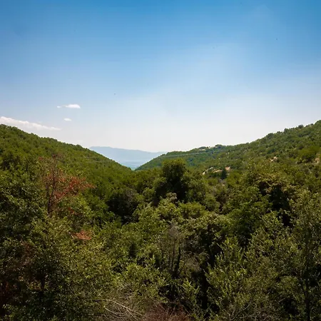 Case de vacanță никол *